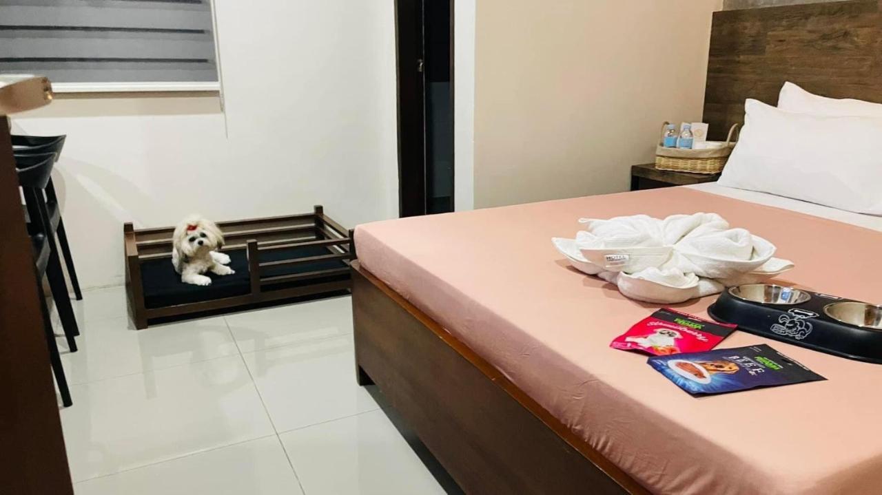 A&E Apartelle Bacolod Eksteriør billede