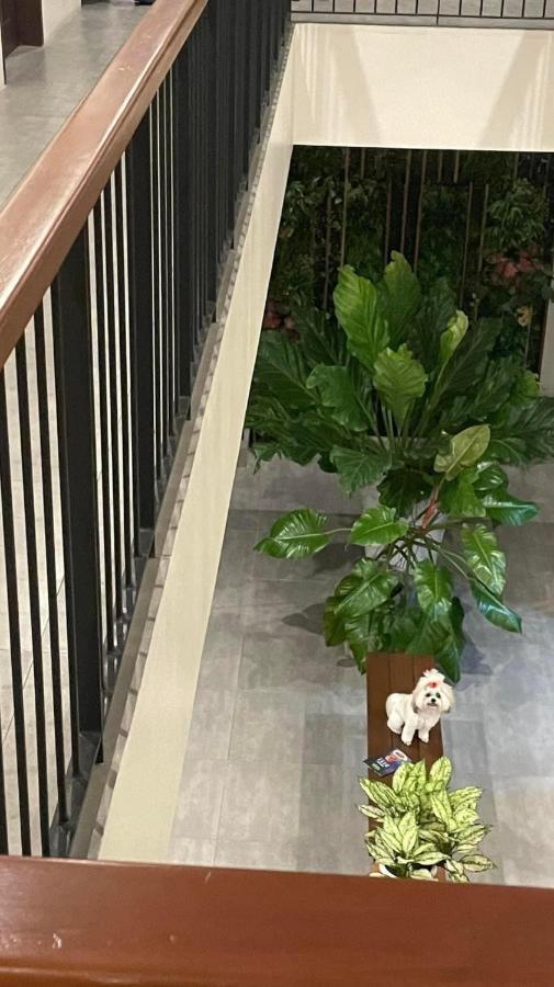 A&E Apartelle Bacolod Eksteriør billede